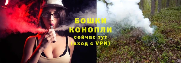 прущие грибы Приозерск